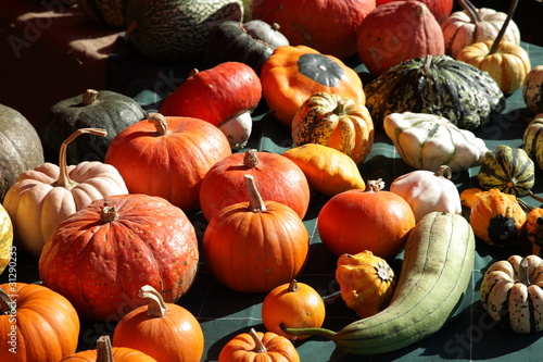 zucche fiera paderna