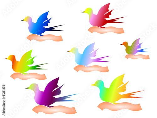 bunte vögel