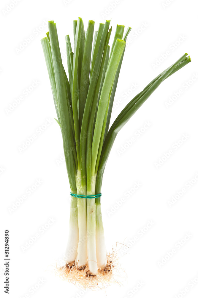 Fresh spring onions, isolated Fresh spring onions, isolated