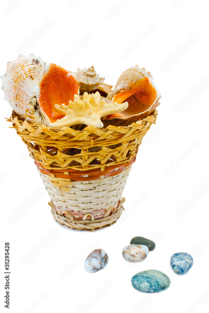 Fototapeta premium basket