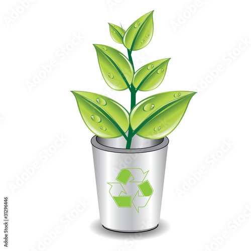 GREEN BRANCH IN THE BASKET