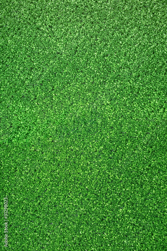 Gruener Kunstrasen, Green Grass photo