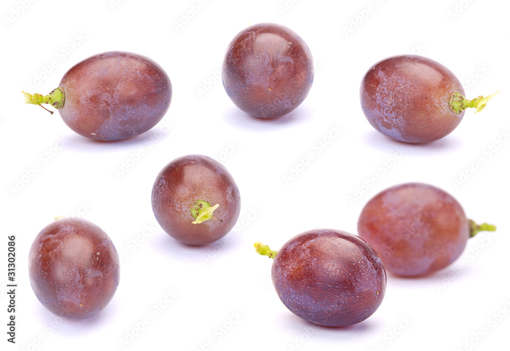 Obraz premium Purple grape
