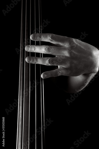 upright bass