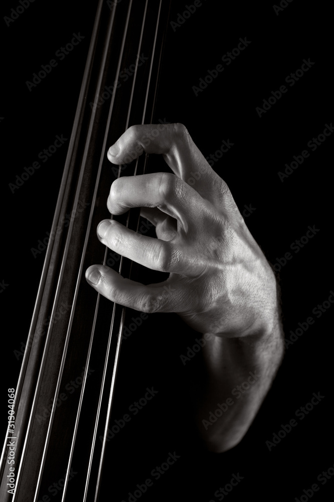 upright bass upright bass