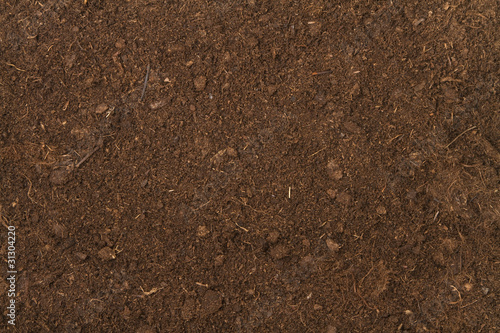 peat soil photo
