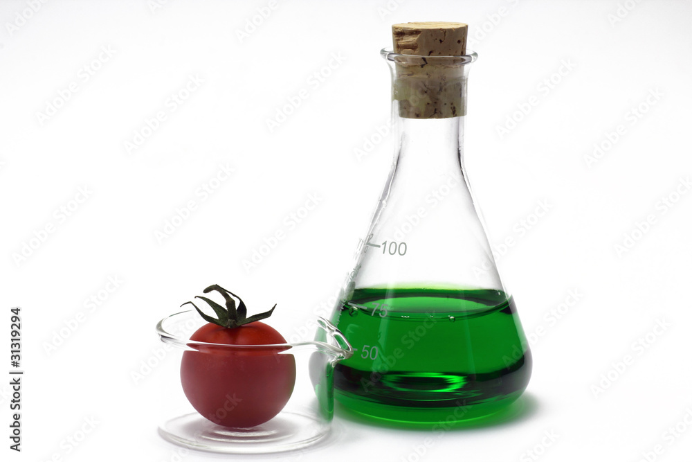 laborkolben mit tomate laborkolben mit tomate