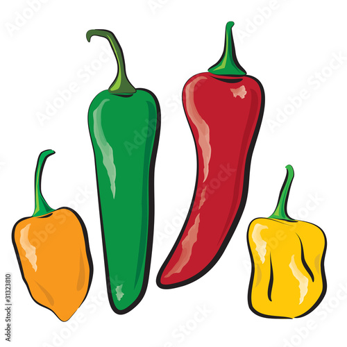 hot peppers photo