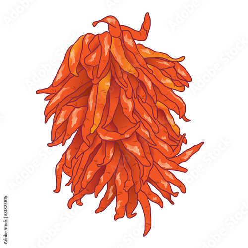 Фотография chilies bunch_ristra