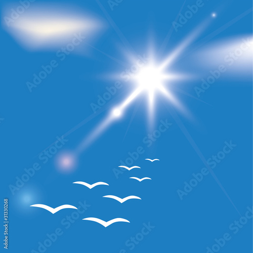 Flock of swallow  on the blue sky with clouds.