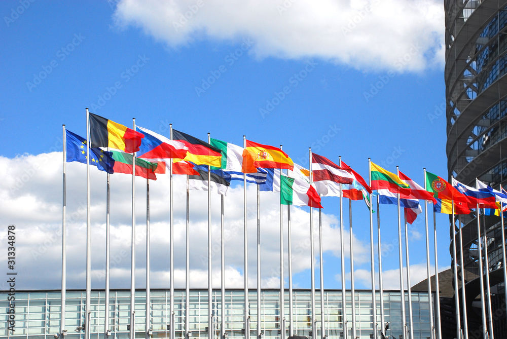Fototapeta premium Europarliament. Flags of the countries of the European Union