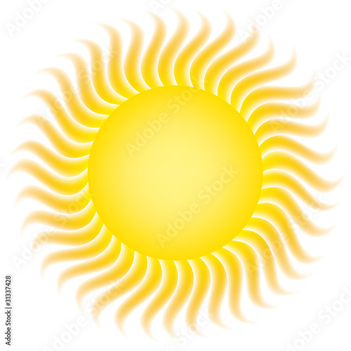 sole