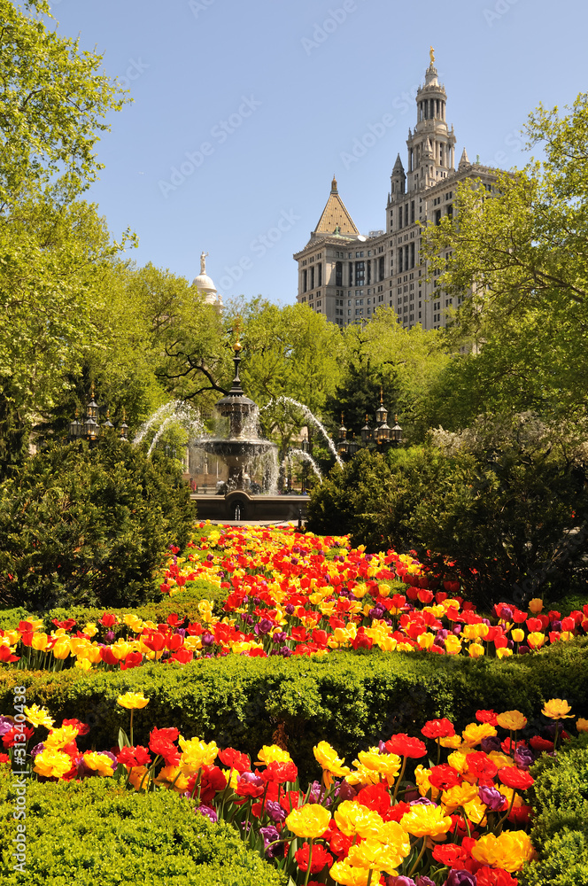 Fototapeta premium City Hall Park & Tulip.