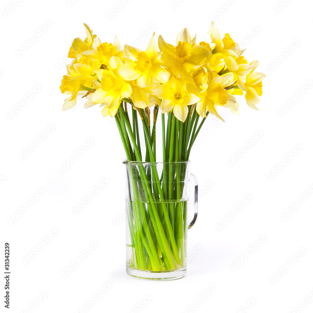 Daffodils bouquet