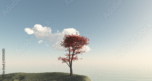 Albero foglie rosse scogliera