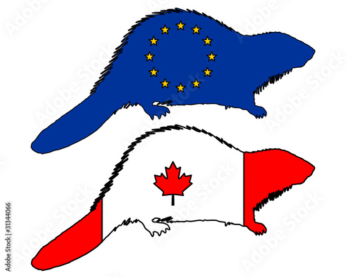 Europäischer und kanadischer Biber