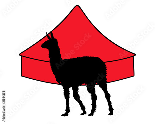 Lama im Zirkus