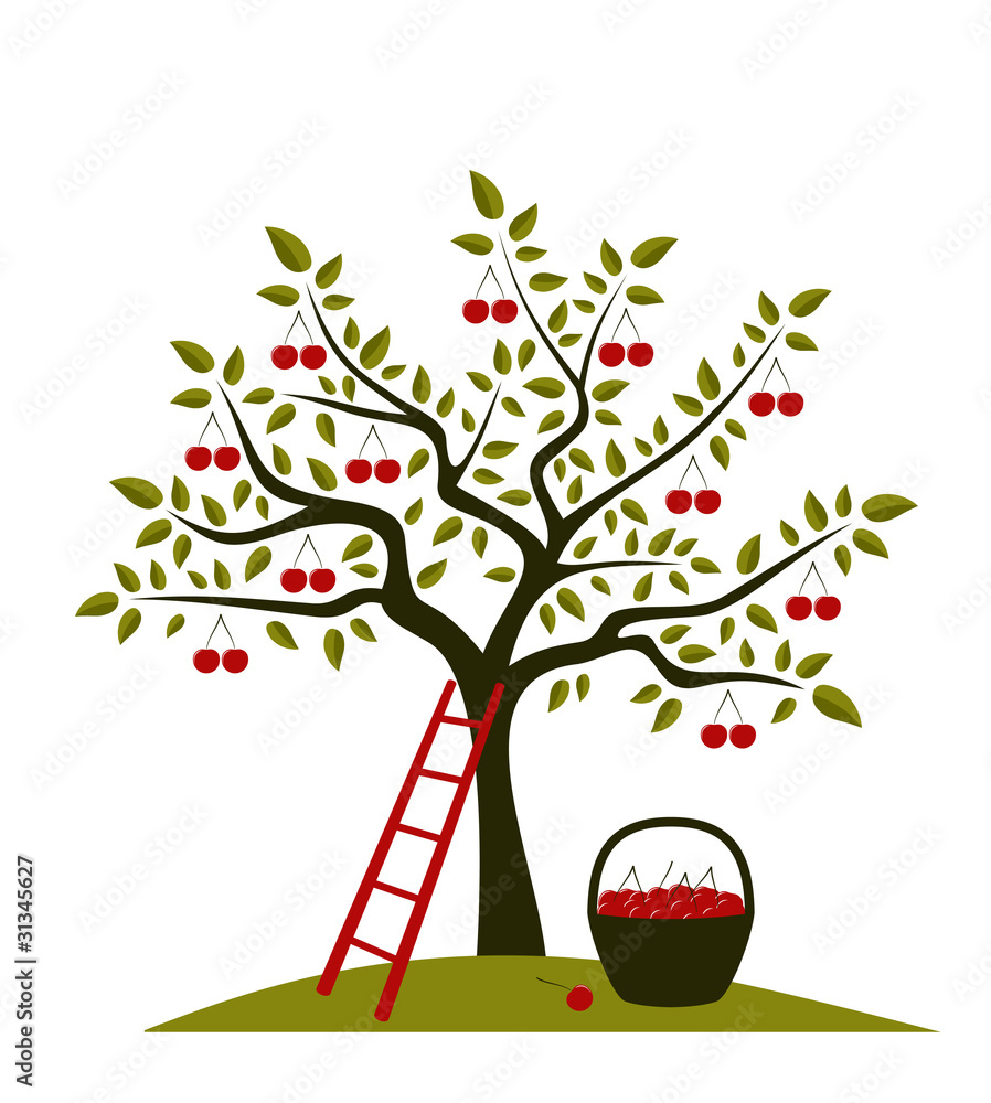 Obraz premium cherry tree