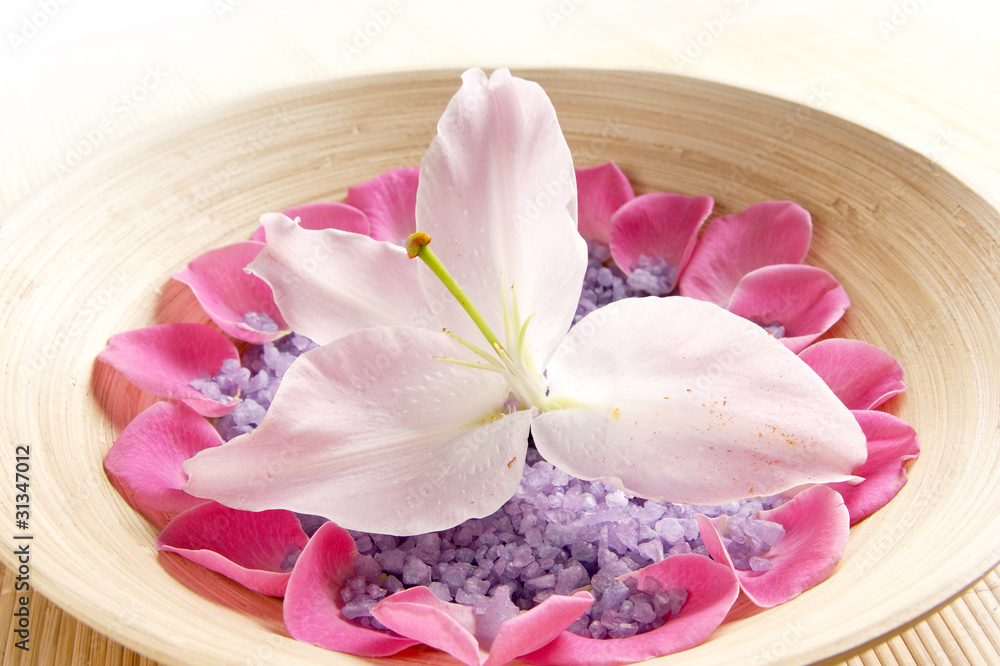 A beautiful pink lily in the middle of a bowl filled with salt