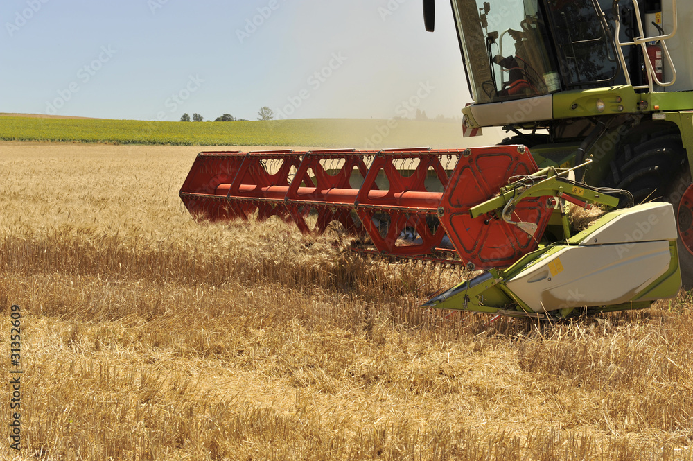 Fototapeta premium Moisson du champ