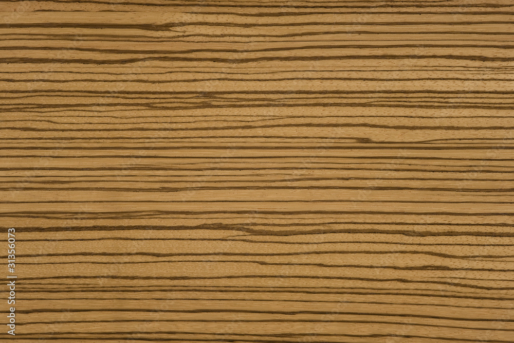holz holz