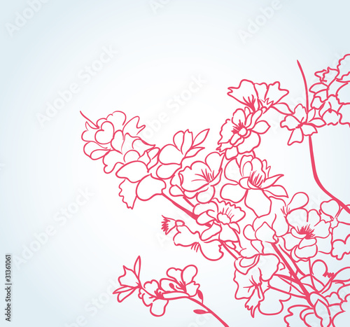 Carta da parati il sakura - Carta da parati background with sakura flowers