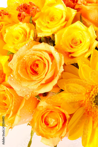 fresh yellow rose