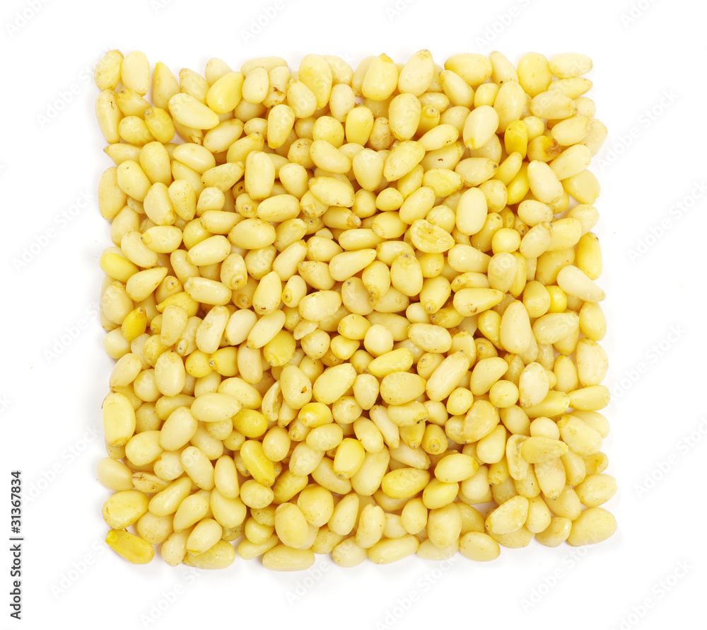 pine nuts pine nuts