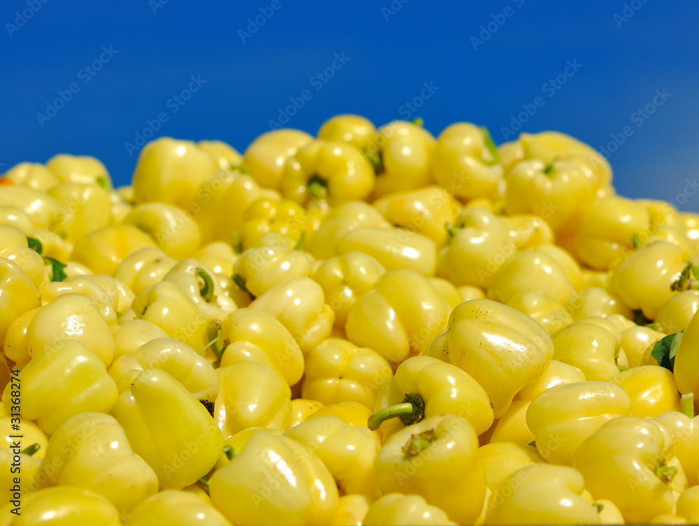 fresh organic food peppers