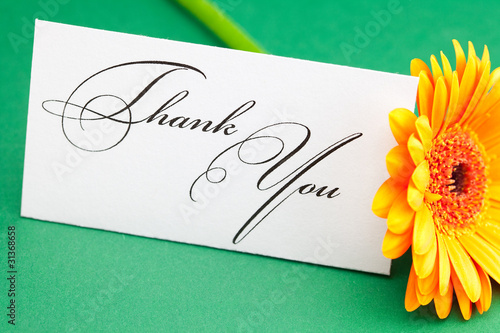 gerbera and card signed thank you on green background