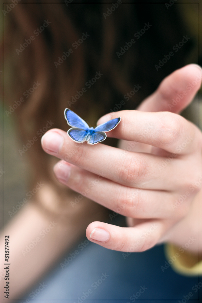 Obraz premium Friendly Butterfly