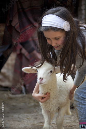 baby lamb