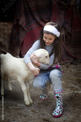 Fototapeta Naklejka Na Ścianę i Meble -  Little baby lamb