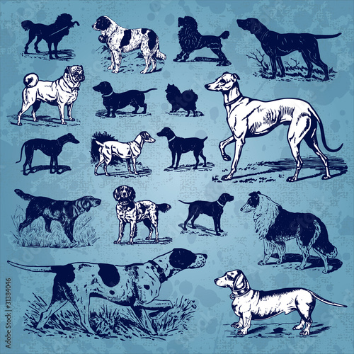 dogs vintage set (vector)