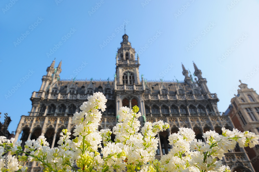 White lilac flowers on Grand Place of Brussels