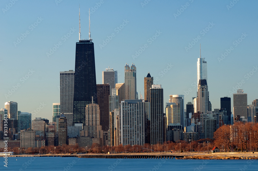 Fototapeta premium Chicago