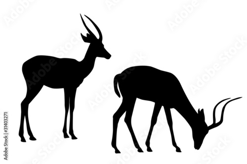 two antelope black silhouettes
