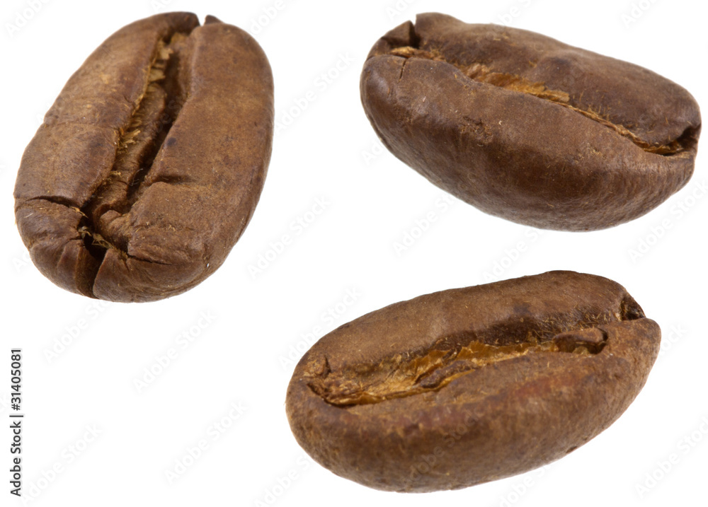 grains de café grains de café