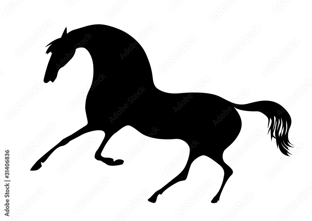 Naklejka silhouette horse on white background