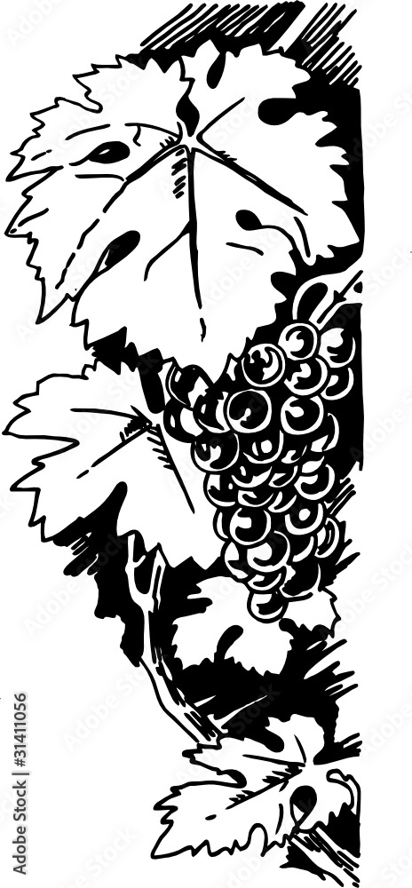Fototapeta premium Vertical grape bar