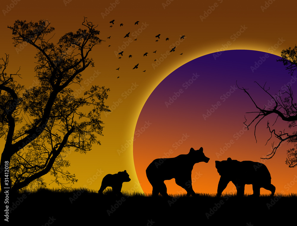 Naklejka premium Bears on sunset