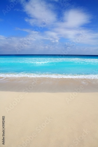 beach tropical vertical Caribbean turquoise sea © lunamarina