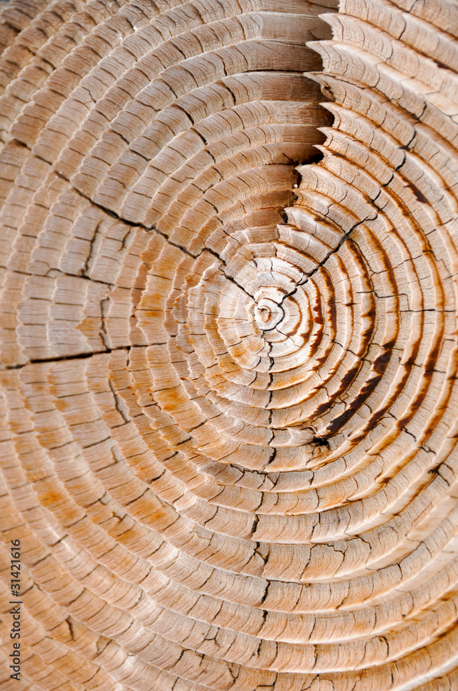 Naklejka premium Trink