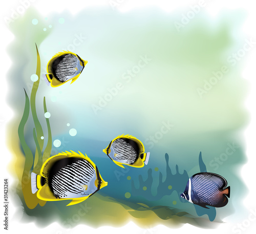 Background -  Underwater World. Vector illustration.
