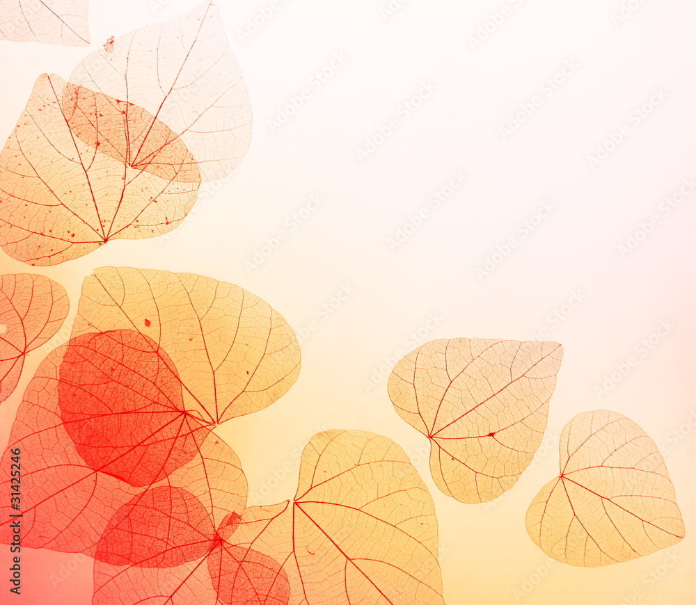 Floral Border of Autumn Leaves