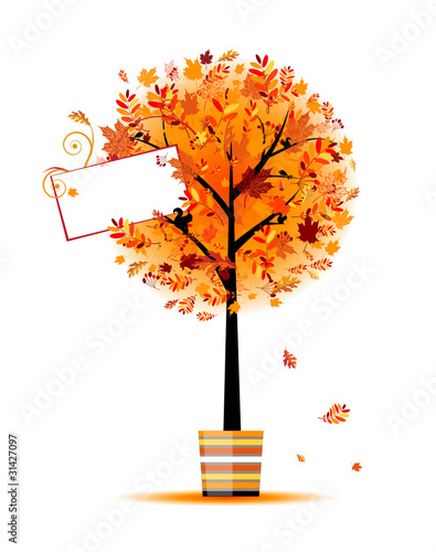 Beautiful autumn tree in pot for your design
