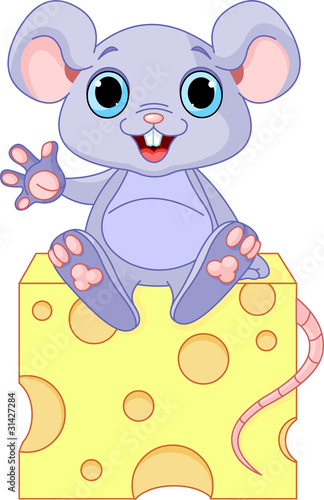Mouse  on cheese