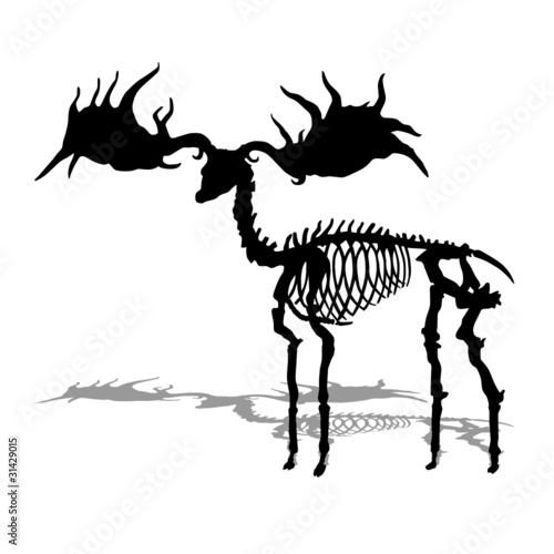 prehistoric skeleton vector