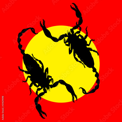scorpion vector