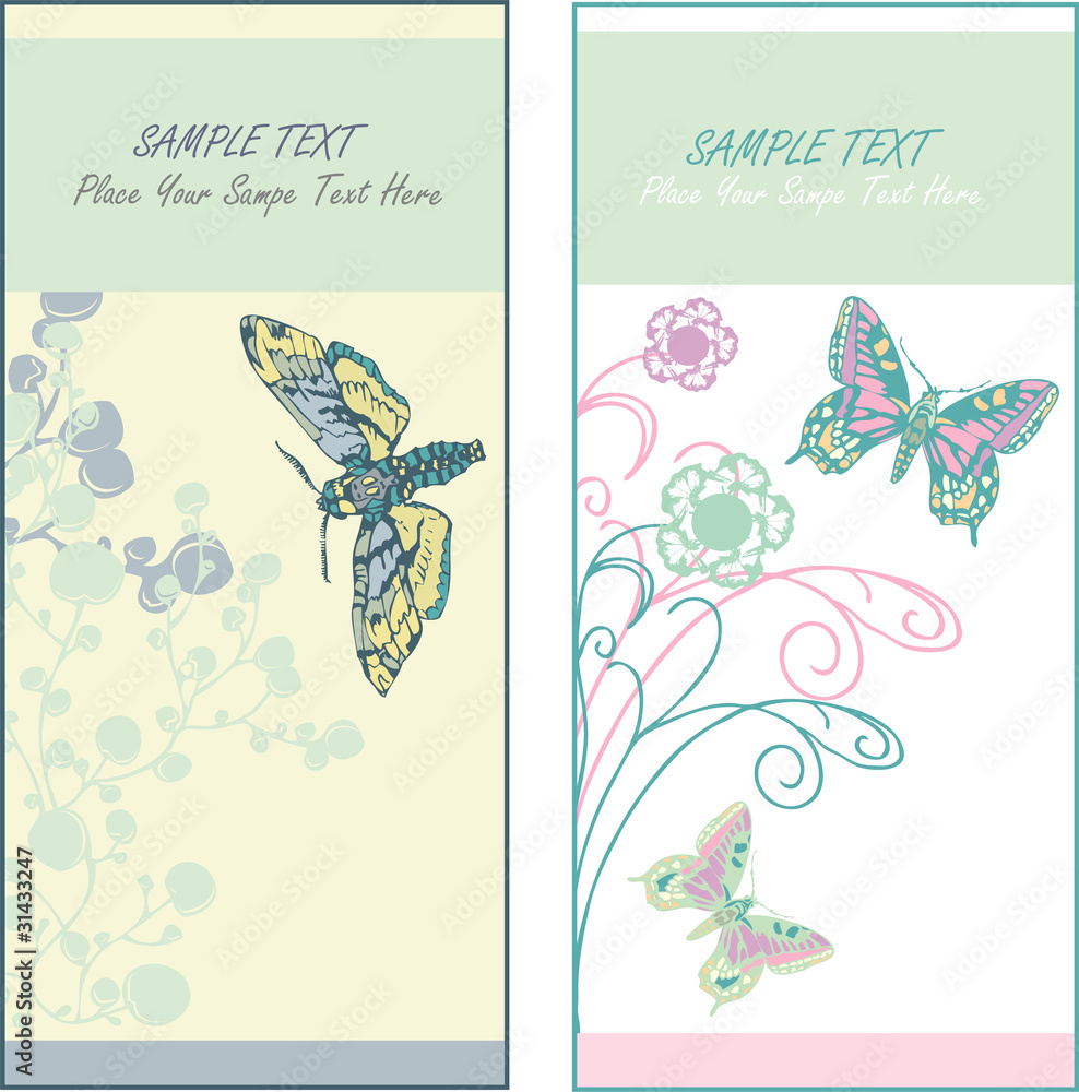 butterfly card set butterfly card set